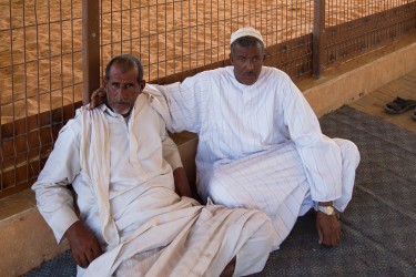 8R2A5357 Camel Market Al Ain UAE