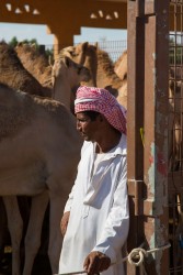 8R2A5360 Camel Market Al Ain UAE