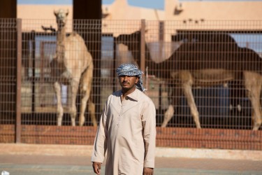 8R2A5381 Camel Market Al Ain UAE
