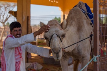 8R2A5382 Camel Market Al Ain UAE