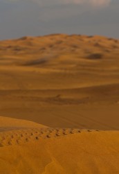 8R2A5609 Hatta Dunes UAE