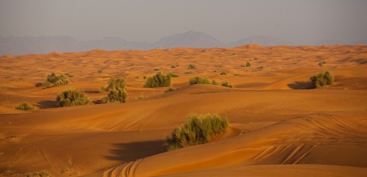 8R2A5616 Hatta Dunes UAE