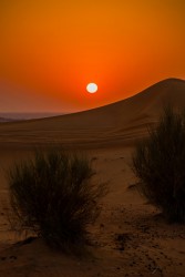 8R2A5697 Hatta Dunes UAE