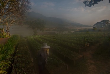 8R2A2144 Haze in the morning Mekong River Chiang Khong North Thailand