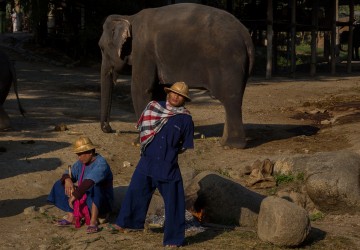 8R2A0577 Elephant Sanctuary Mae Taeng Valley North Thailand
