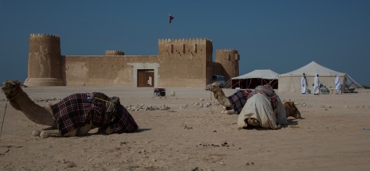 8R2A8410 Fort Al Zubara North Qatar