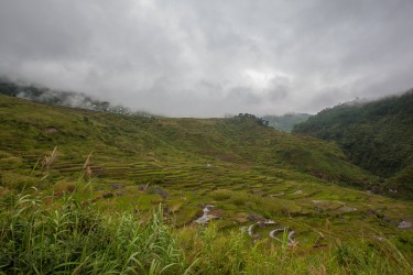 8R2A0766 Rice Terraces Sagada Mountain Province North Philippines