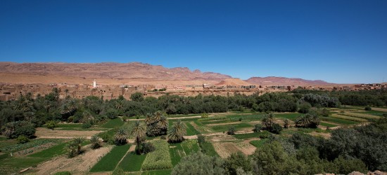 8R2A6985 Oasis de Todra Valley de Todra South Morocco