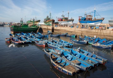 8R2A0134 Fishing Port Essaouira Atlantic Coast Morocco