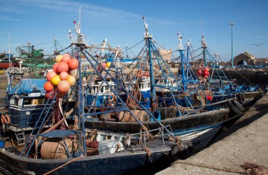 8R2A0146 Fishing Port Essaouira Atlantic Coast Morocco