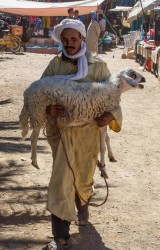 8R2A6939 Berber Alnif Valley de Dades South Morocco
