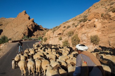 8R2A7128 Berber Normades Valley de Dades South Morocco