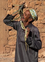 8R2A7197 Snake Charmer Aid Benhaddou Quarzazate Morocco