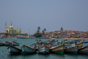 8R2A0172 Port Kovalam Kerala South india