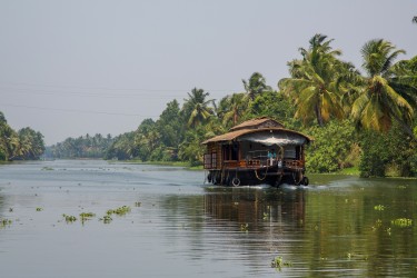 8R2A0325 Backwaters Kerala South india