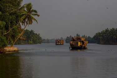 8R2A0721 Backwaters Kerala South india