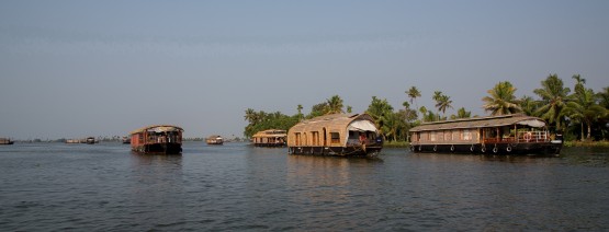 8R2A03721 Backwaters Kerala South india