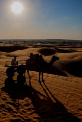 8R2A2388 Sam Dunes Desert Thar Jaisalmer Rajastan North India