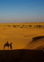 8R2A2392 Sam Dunes Desert Thar Jaisalmer Rajastan North india