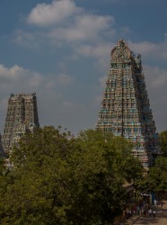 8R2A0010 Meenakshi Sundareshwarar Temple Madurai Tamil Nadu South india