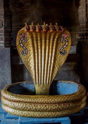 8R2A0236 Temple of Belur Karnataka Southwest india