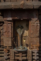 8R2A5289 Parasutameshvara Hindu Temple Bhubaneswar Orissa East india