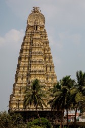 8R2A9554 Ekambareshvara Temple Kanchipuram South india