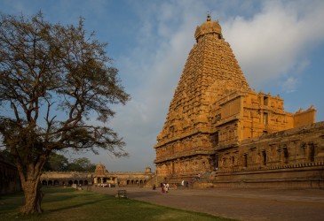8R2A9804 Bhrihadeswharer Temple Thanjavur Tamil Nadu South india