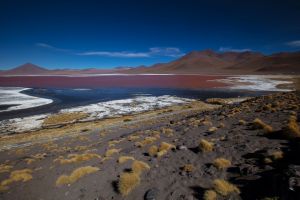 0S8A2027 Laguna Colorada Altiplano Bolivia
