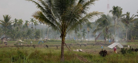 8R2A0998 Rice Fields Sumatra Indonesia