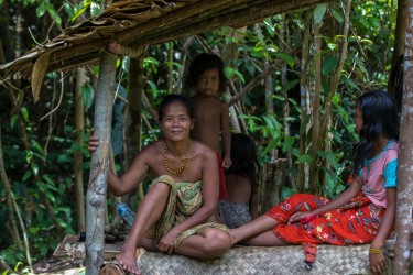 7P8A4489 Tribe Anak Dalam Bukit Duabelas NP South Sumatra