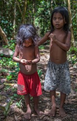 AI6I5315 Tribe Anak Dalam Bukit Duabelas NP South Sumatra