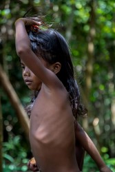 AI6I5321 Tribe Anak Dalam Bukit Duabelas NP South Sumatra
