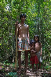 AI6I5389 Tribe Anak Dalam Bukit Duabelas NP South Sumatra
