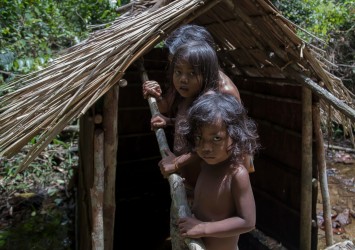 AI6I5508 Tribe Anak Dalam Bukit Duabelas NP South Sumatra