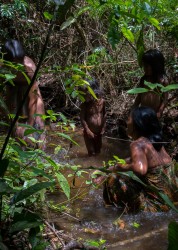 AI6I5550 Taking bath Tribe Anak Dalam Bukit Duabelas NP South Sumatra