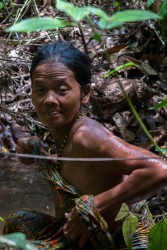 AI6I5556 Taking bath Tribe Anak Dalam Bukit Duabelas NP South Sumatra