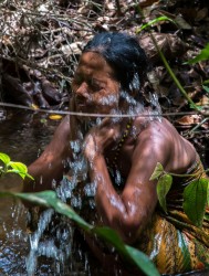 AI6I5558 Taking bath Tribe Anak Dalam Bukit Duabelas NP South Sumatra