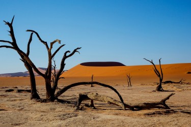 8R2A5299 Sossusvlai Namib Desert West Namibia