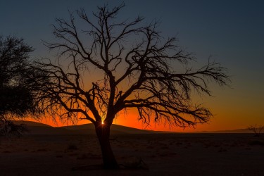 8R2A5345 Sossusvlai Namib Desert West Namibia