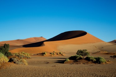 8R2A5399 Sossusvlai Namib Desert West Namibia