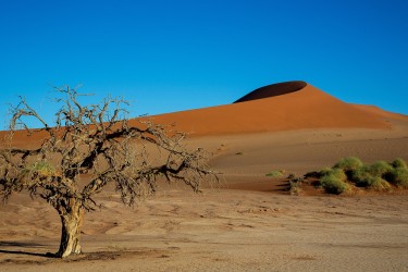 8R2A5412 Sossusvlai Namib Desert West Namibia