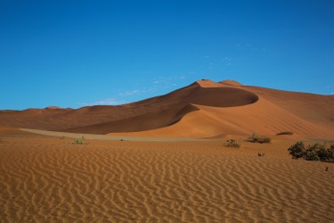 8R2A5437 Sossusvlai Namib Desert West Namibia