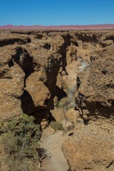 8R2A5466 Sesriem Canyon Namib Desert West Namibia