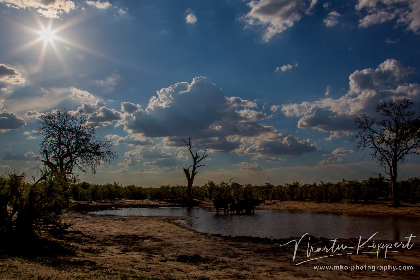 8R2A0386 Chobe NP Botswana