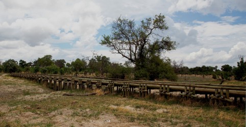 8R2A1288 Okovango Delta Botswana
