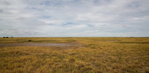 8R2A1676 Makgadikgadi Pan Botswana
