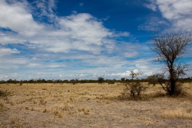 8R2A1729 Makgadikgadi Pan Botswana
