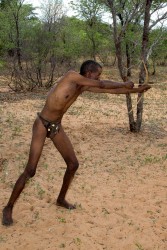 8R2A9708 Tribe San Kalahari Botswana
