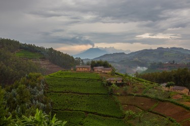 8R2A4269 Terrasse Fields Backround Vulcano Nyirangongo Congo
